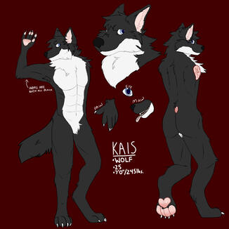 Reference sheet commission for Kais on Discord!